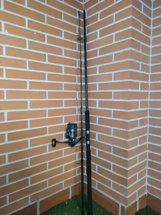 Caña de pesca para siluro