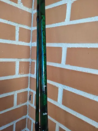 Caña de pesca para siluro