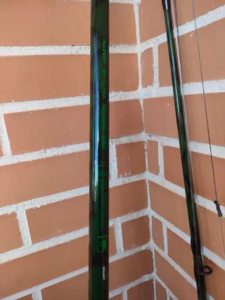 Caña de pesca para siluro