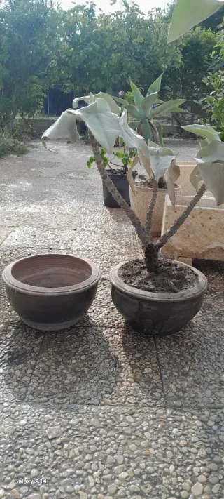 Vasi in ceramica e pietra