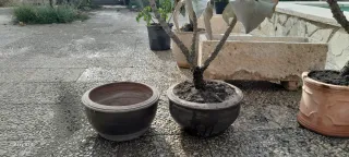 Vasi in ceramica e pietra