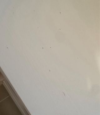 Cómoda IKEA Hemnes Blanca 160x96cm