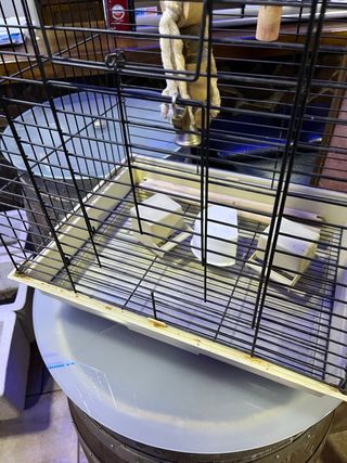 Jaula para ninfa negra y blanca