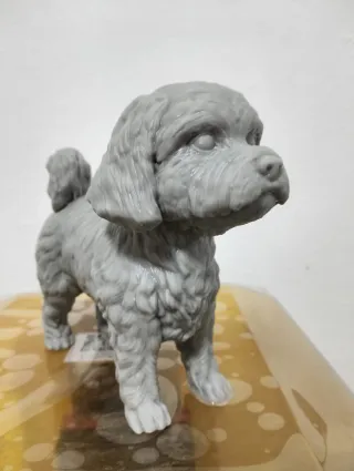 Impresora Resina Anycubic X2 Negra