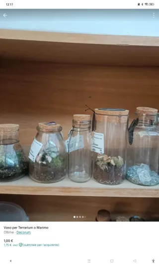 Vaso Vetro per Terrarium o Marimo