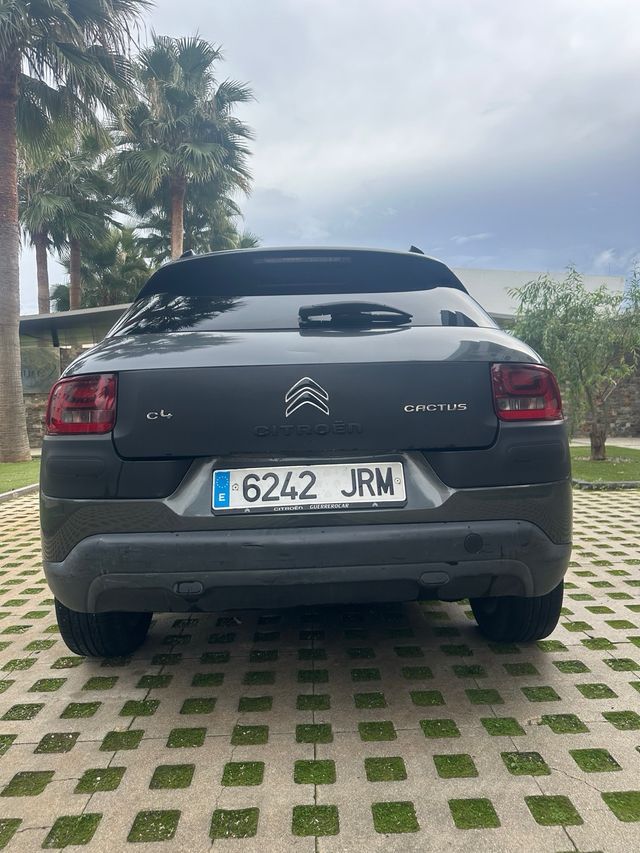 Citroen C4 Cactus 2016