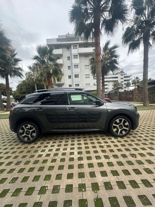 Citroen C4 Cactus 2016