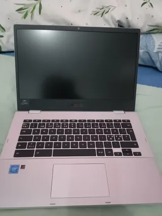 Asus Chromebook gris