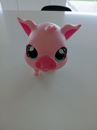 Cerdito little life pets