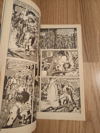 Relatos Salvajes. Conan El Bárbaro 1976 nuevo