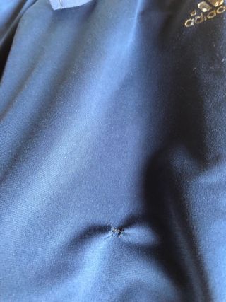 Pantalone tuta Adidas blu