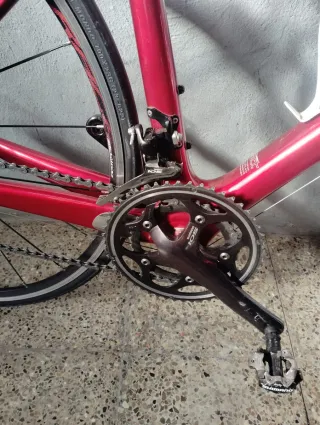 Bicicleta Carretera Specialized Amira Comp Carbono