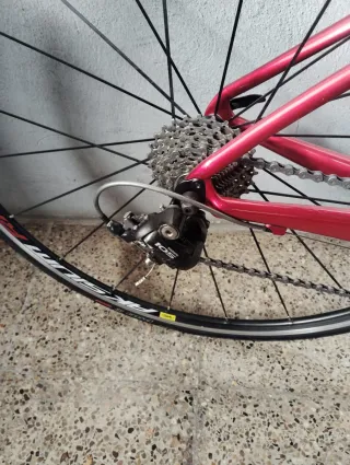 Bicicleta Carretera Specialized Amira Comp Carbono