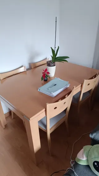 Mesa extensible comedor + 4 sillas 90x140x76