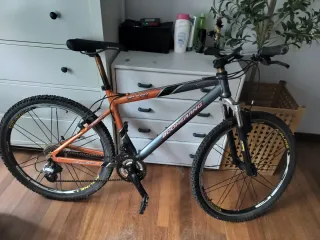 Bicicleta de Montaña