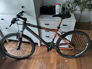 Bicicleta de Montaña