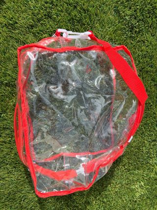 Patines y protecciones Paw Patrol