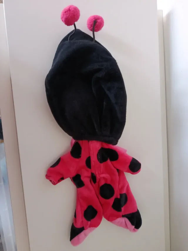 Disfraz Bebé llorón Mariquita