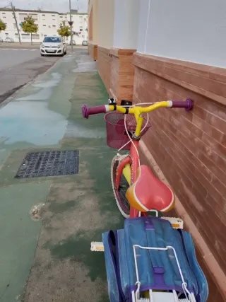 Bicicleta infantil Dora necesita puesta a punto