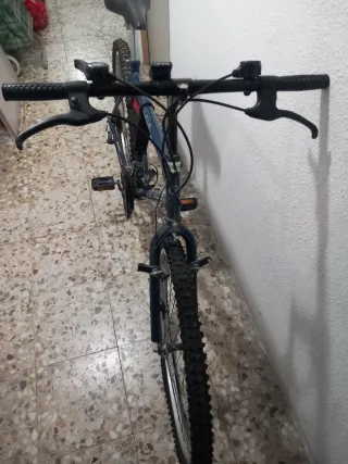 Bicicleta de Montaña