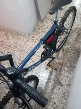 Bicicleta de Montaña