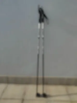 Bastones Esquí Fondo 110cm