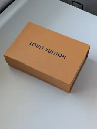Caja Louis Vuitton Marrón