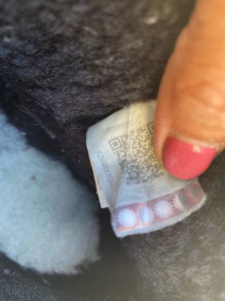 Botas UGG Swarovski Talla 38