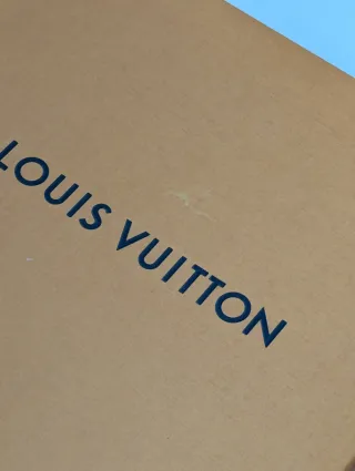 Caja Louis Vuitton Marrón