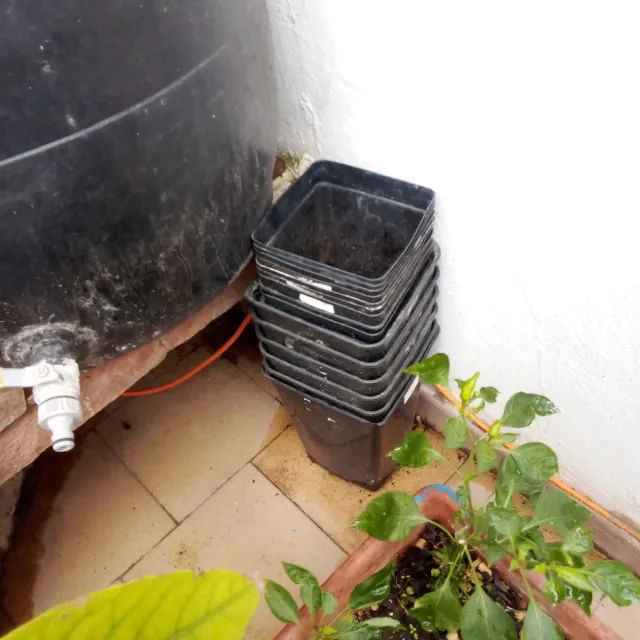 Lote de vasos quadrados pretos em plástico