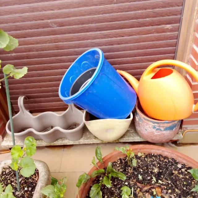 Lote de vasos quadrados pretos em plástico