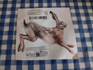 Pegatina de liebre para coche