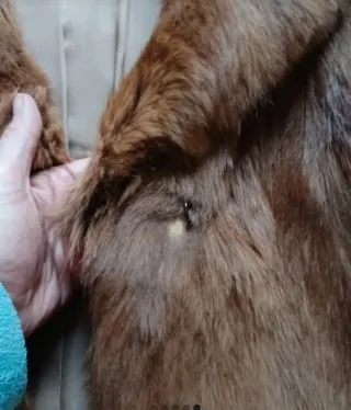 Chaquetón de pelo beige y marrón