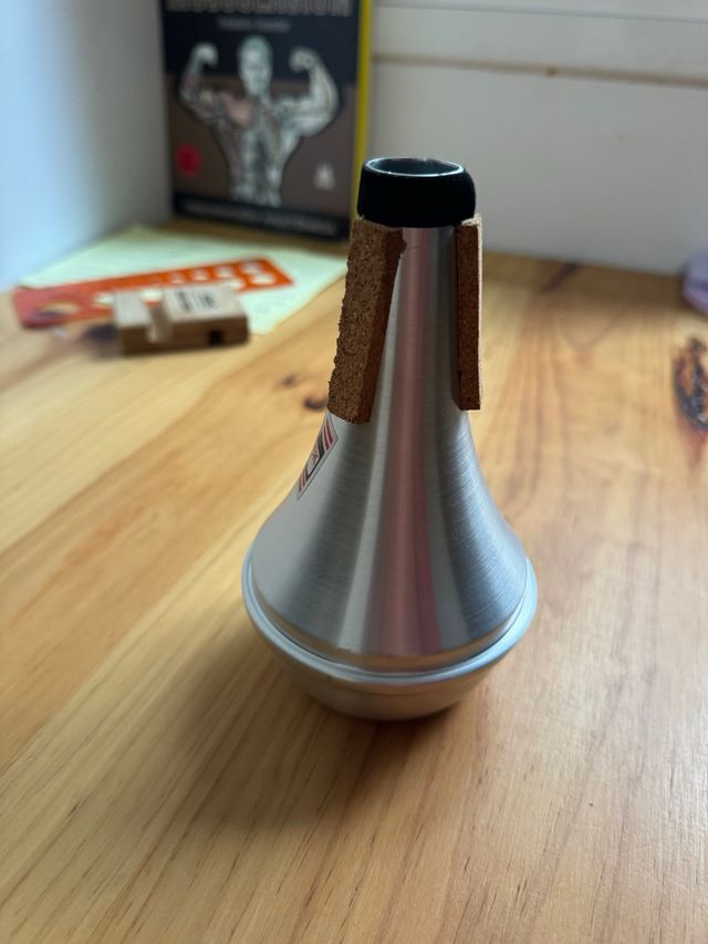 Sordina Denis Wick 5504 Recta con Caja