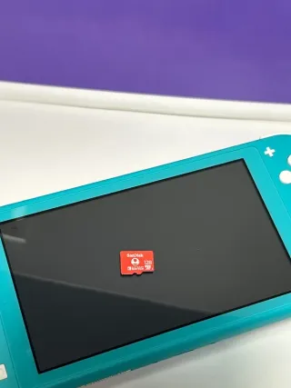 Nintendo Switch Lite + Playstation 3 fat
