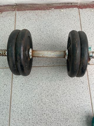 Manubri regolabili con dischi