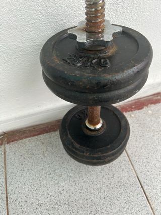 Manubri regolabili con dischi