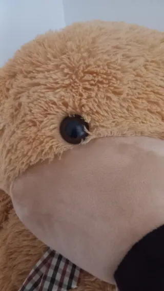 Orso Peluche Gigante 190cm