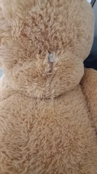 Orso Peluche Gigante 190cm