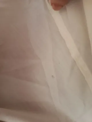 Camisa Fallero Adulto Blanca y Dorada