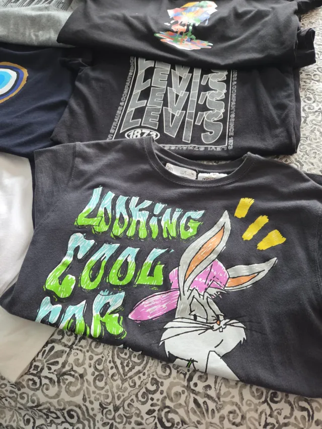 Lote 10-12 años: Camisetas niño