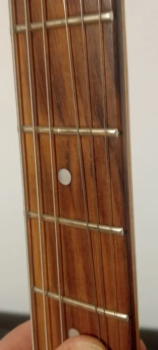 Guitarra Telecaster y extra