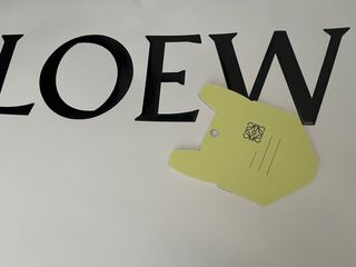 Etiqueta Loewe x Louis Wain Gato Multicolor