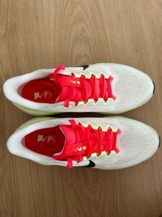 Zapatillas Nike Air Pegasus 41 Talla 39