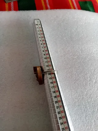 Anello Argento 925 con Pietra Rossa