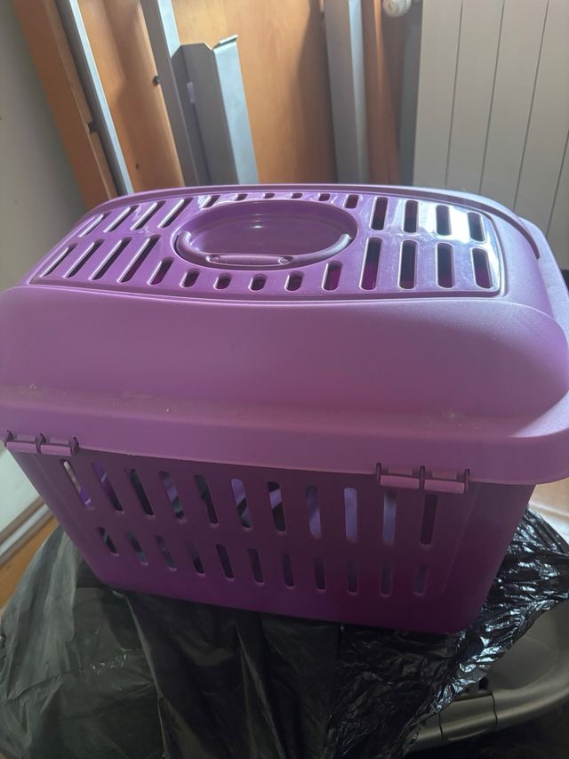 Transportín para mascotas morado