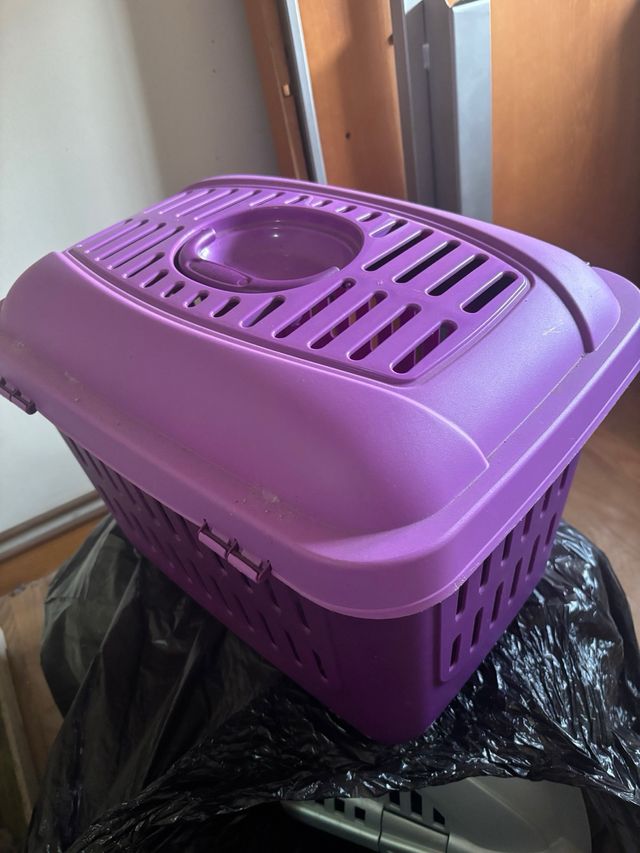 Transportín para mascotas morado