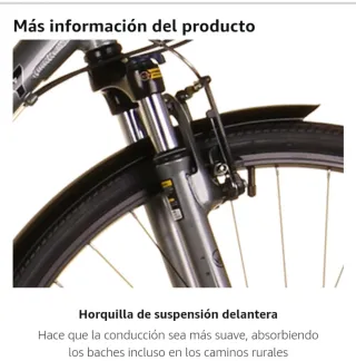 Bicicleta de paseo gris