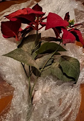 Stelle di Natale artificiali