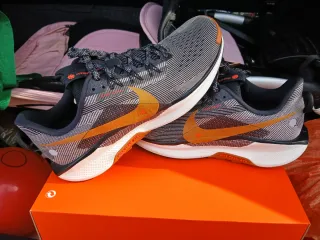 Nike Pegasus Reactx Trail 5 Gris Naranja